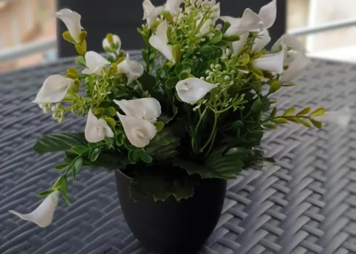 Happy Place Lägenhet *